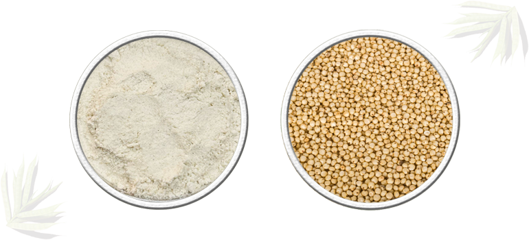 Sorghum Flour