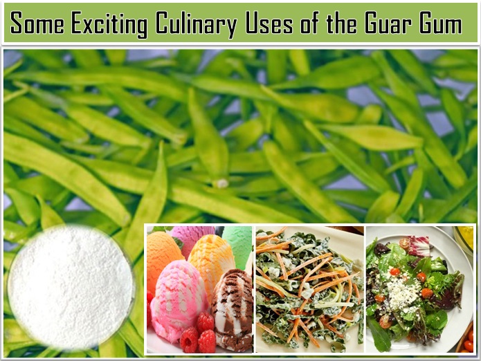 Properties Of Guar Gum Powder